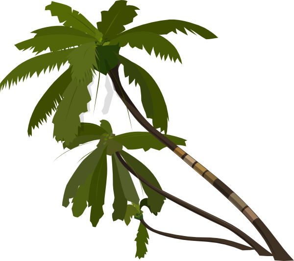 fruits - D - Date Palm - Page 32 - ClipArt Best - ClipArt Best