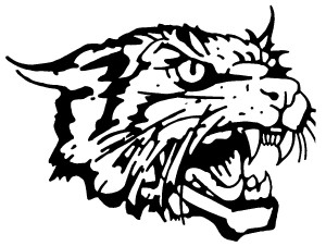 Wildcats stressing the positive - Miami News Record: Sports