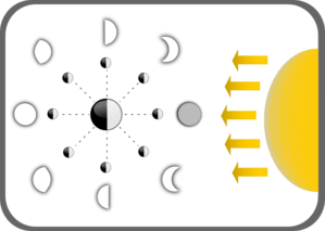 Diagram Of Moon Phases Clip Art - vector clip art ...