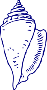sea-shell-5-md.png