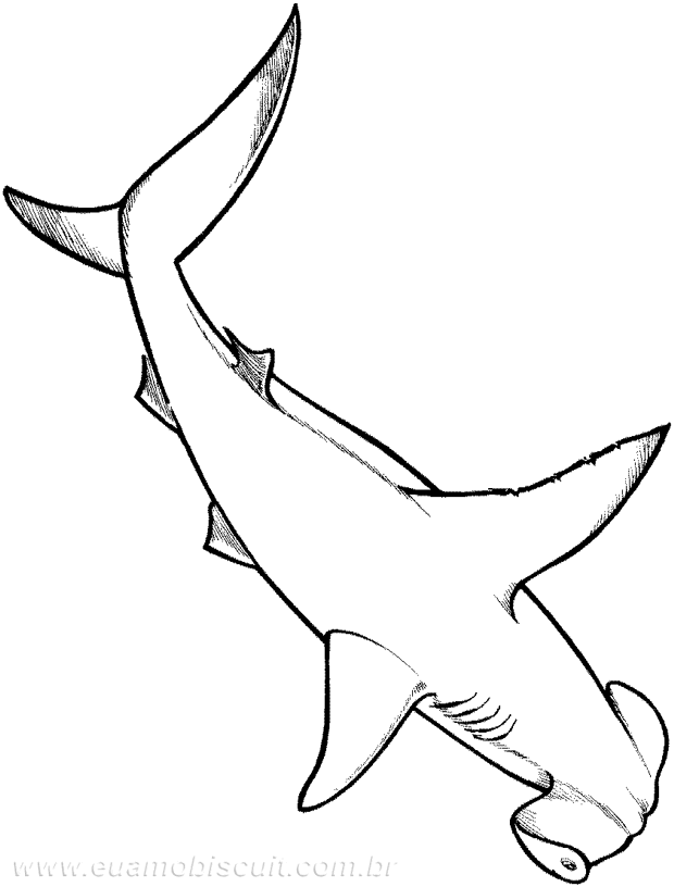Hammerhead Shark Template | Free Download Clip Art | Free Clip Art ...