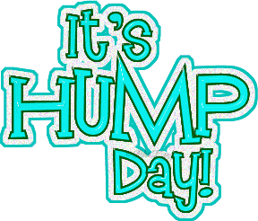 50 Beautiful Hump Day Wish Pictures And Images