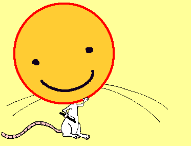Happy Faces Here!