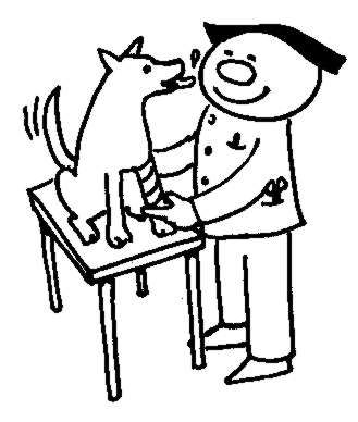 Vet Clipart | Free Download Clip Art | Free Clip Art | on Clipart ...