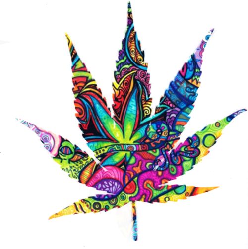 Weed Leaves | Cannabis, Stoner and ...