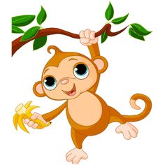 Funny monkeys, Monkey and Funny