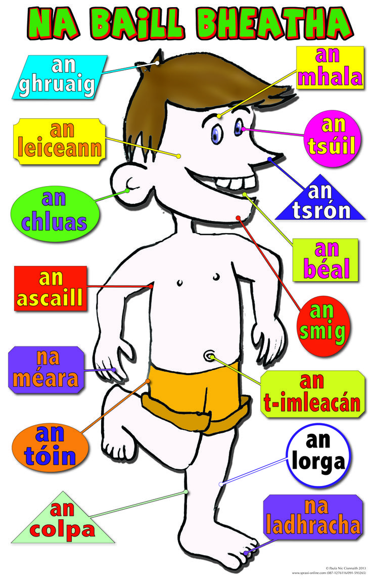 1000+ images about As Gaeilge | Language, Irish ...
