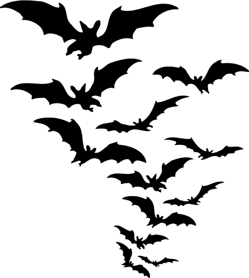 Crossed Bats Clipart