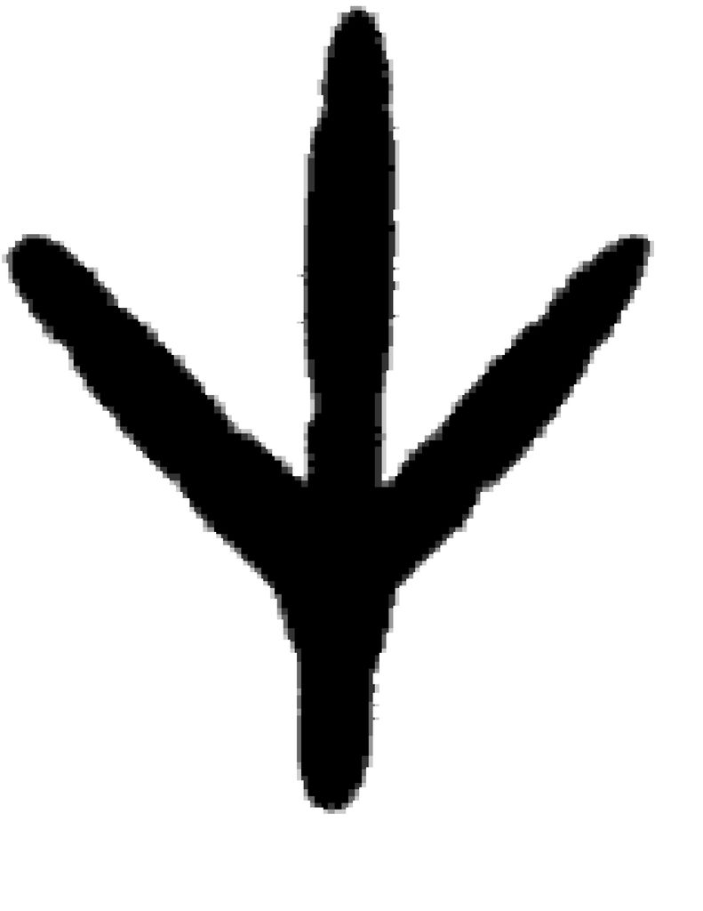 Chicken Footprint Clipart - ClipArt Best