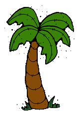 Chicka chicka boom boom coconut tree clipart