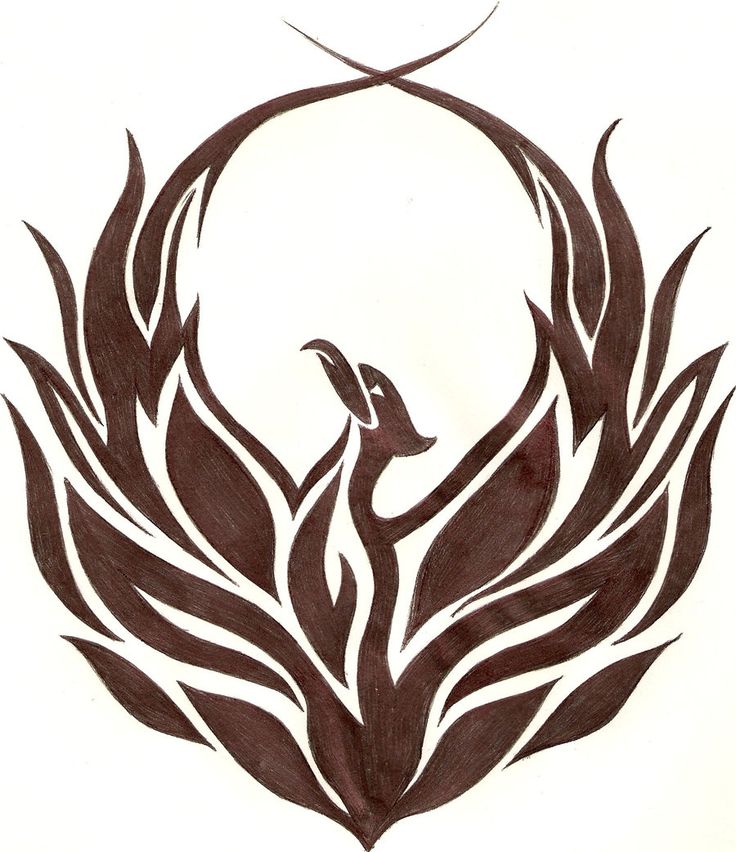 Phoenix Bird | Phoenix, A Phoenix ...