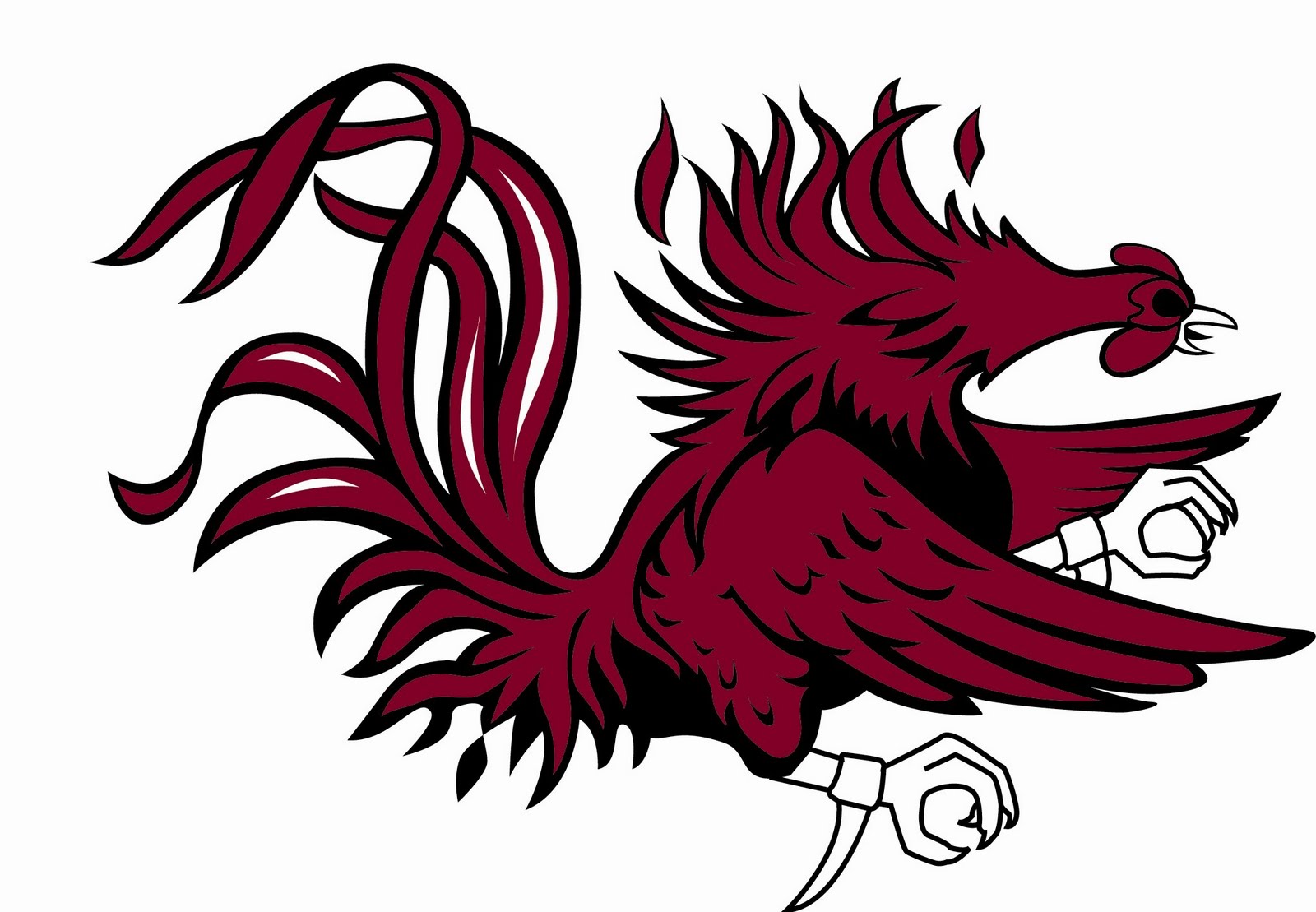 1000+ images about USC Gamecocks!! | White spirit ...