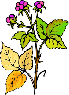 ArtbyJean - Paper Crafts: Pretty little flower clip art prints