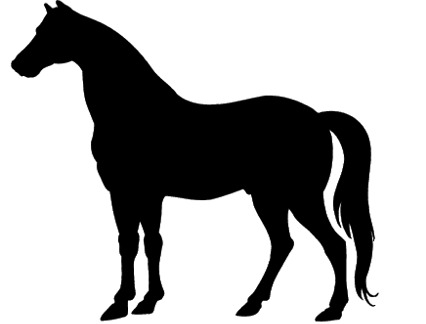 Saddle Fitting for High-Withered Horses
