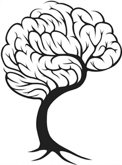 Dogwood Tree Drawing - ClipArt Best