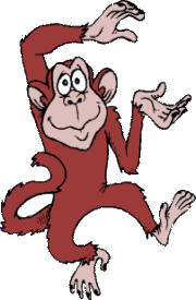 Monkeys - Brain Teaser