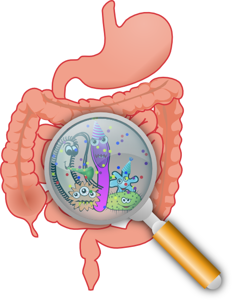 Intestinal Bacteria Clip Art - vector clip art online ...
