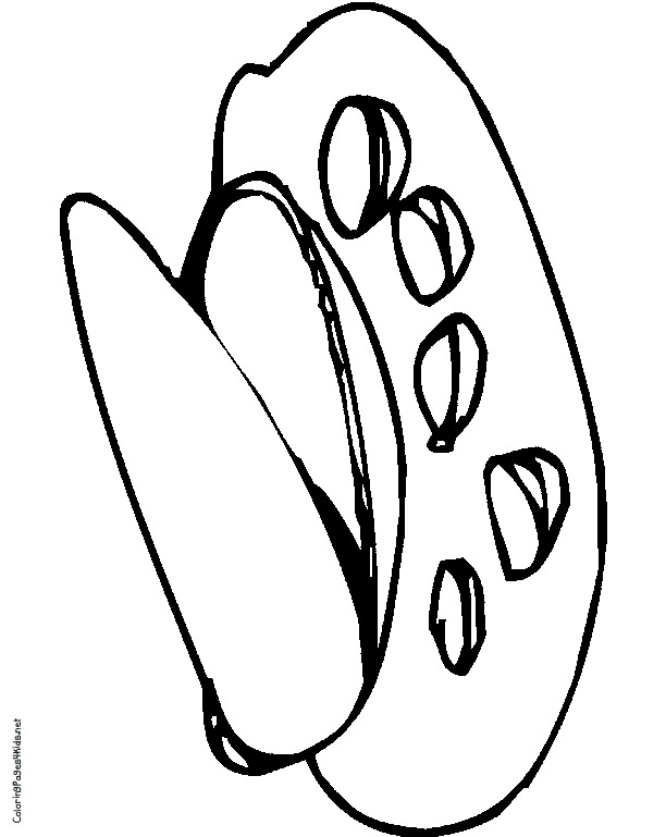 clam Colouring Pages (page 2)