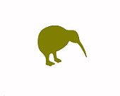 kiwi paper