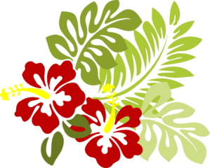 hibiscus-md.png