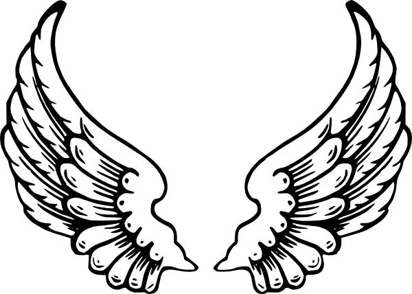 Angel Wings Drawing | Wings Drawing ...