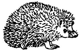 arthur the leopard south africa