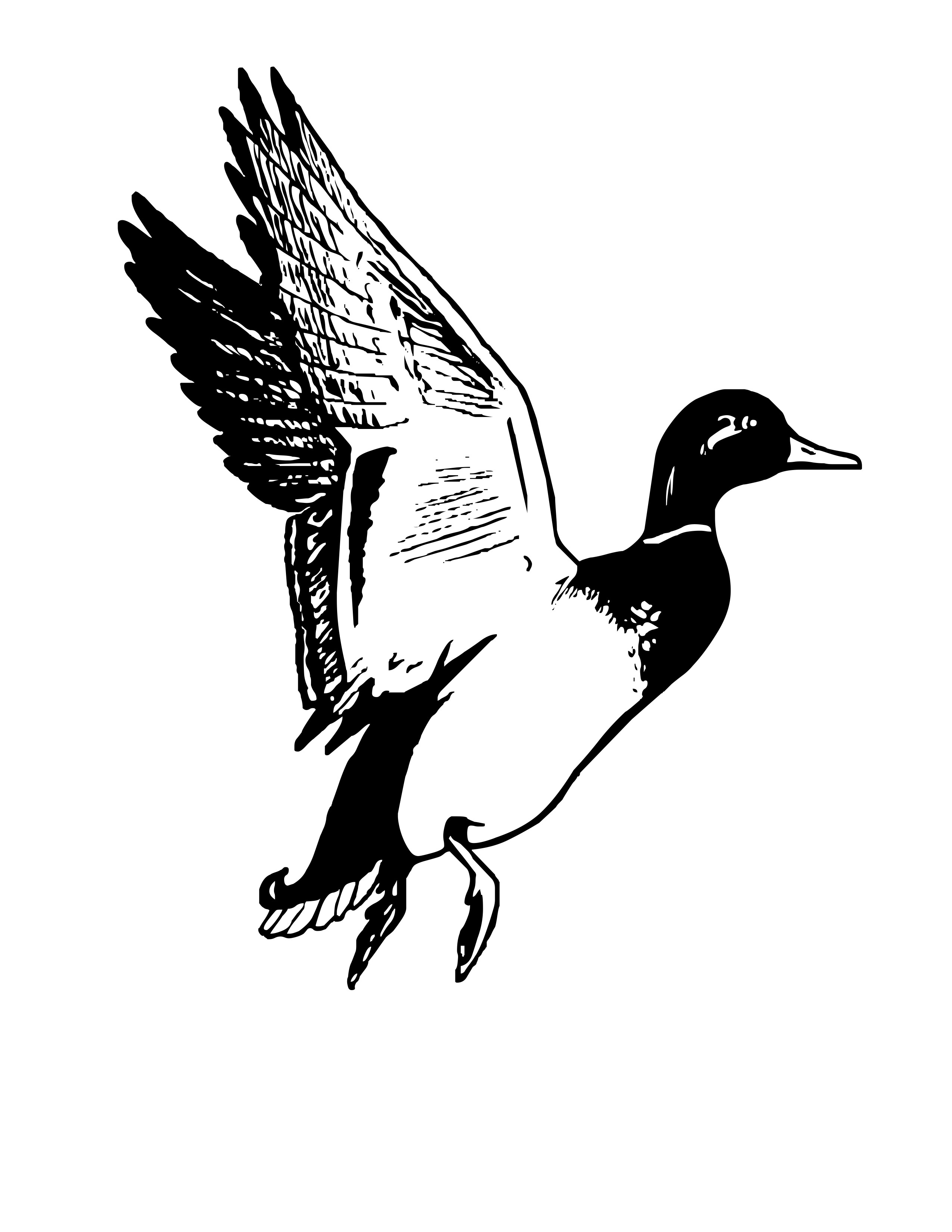 Flying Duck Clipart Black And White - Free Clipart ...