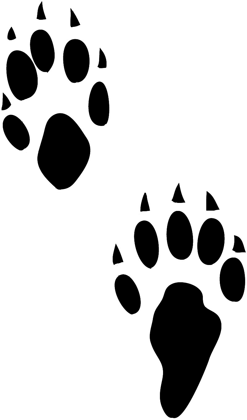 Paw Prints Clipart