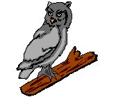 animasi-bergerak-burung-hantu- ...