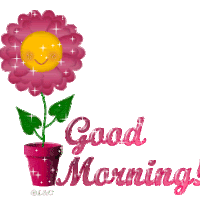 Good Morning Gif Pictures, Images & Photos | Photobucket
