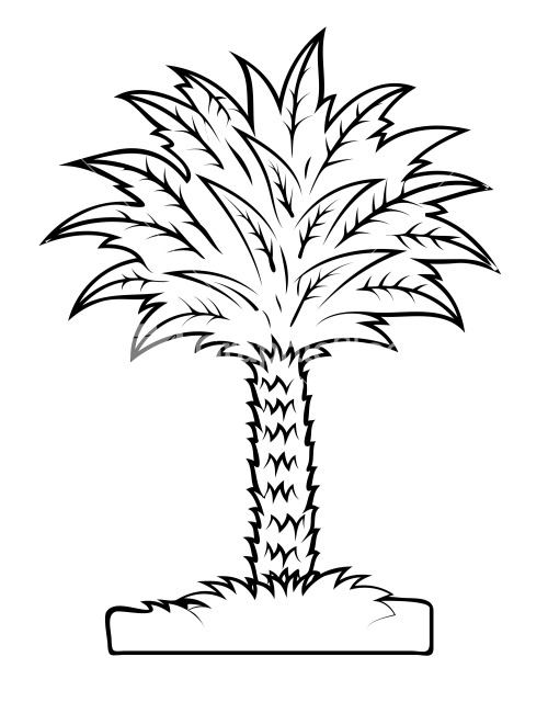 Vector Drawing Of Palm Tree