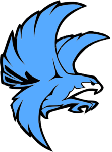Falcon vector clipart