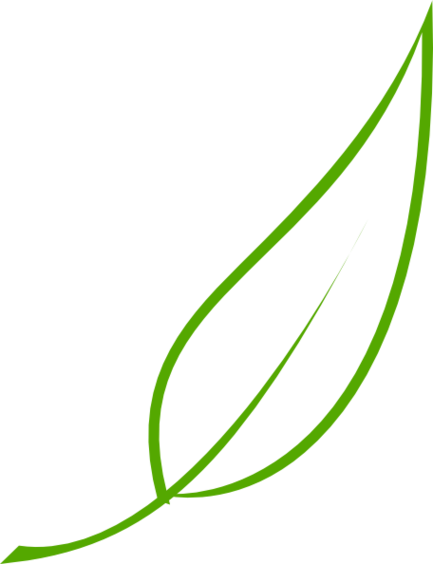Jungle Leaf Template Printable Clipart - Free to use Clip Art Resource
