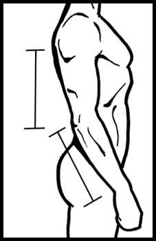 Human Figure Drawing | Human ...