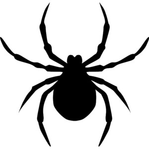 Spider Clip Art - Tumundografico