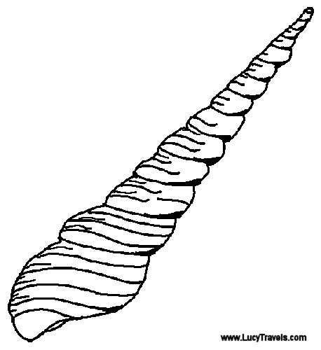 Seashell clipart outline black and white