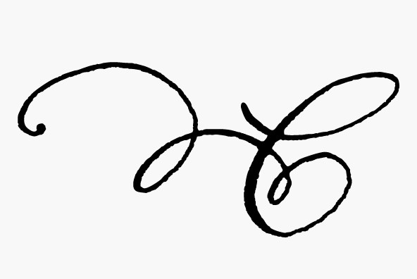 Nelly Script Flourish - Desktop Font & WebFont - YouWorkForThem
