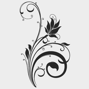 vector flower - 73 Free Vectors to Download | freevectors.net