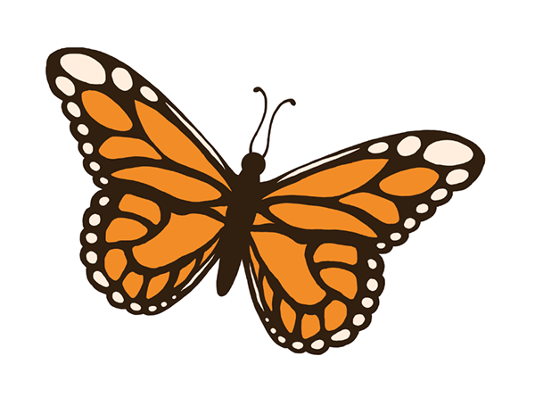 Insect Clip Art on Behance