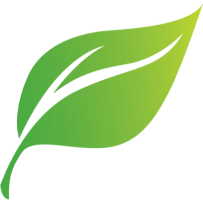 Cartoon Leaf | Free Download Clip Art | Free Clip Art | on Clipart ...