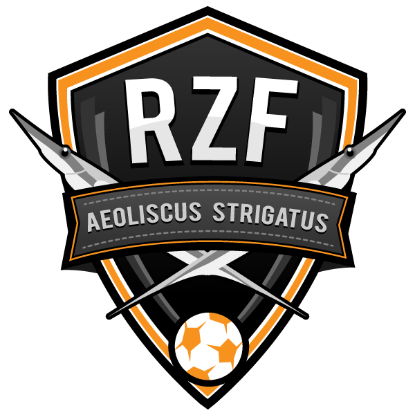 Football Team Logo on Behance