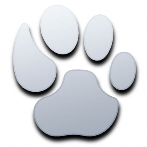 Pair of Lion Paw Print Mirrors