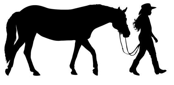 Western Horse and Rider wall decal cowgirl by wildgreenrose