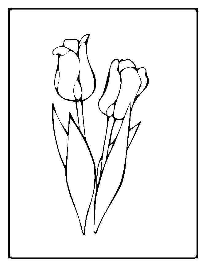 Flower Coloring Pages