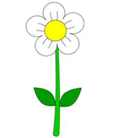 How to Draw Flowers : Drawing Tutorials & Drawing & How to Draw ...