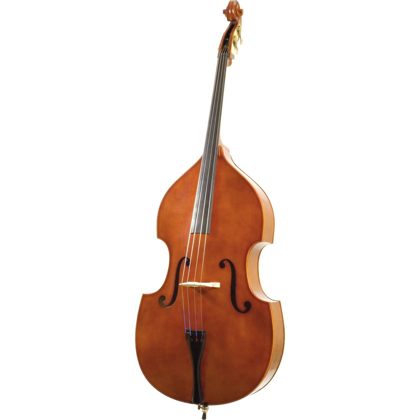 Florea Lupeni Pro Double Bass Outfit | Musician's Friend