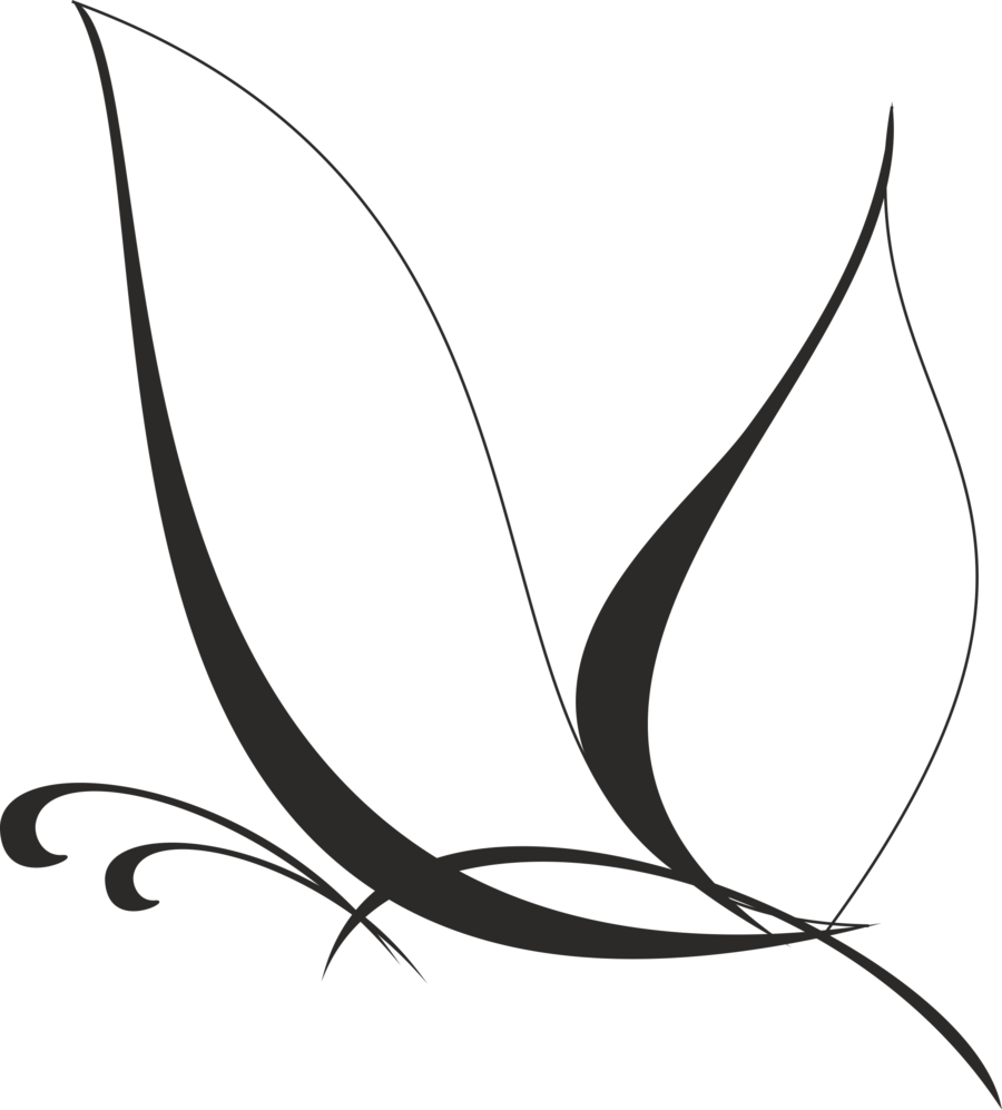 Vector Butterfly