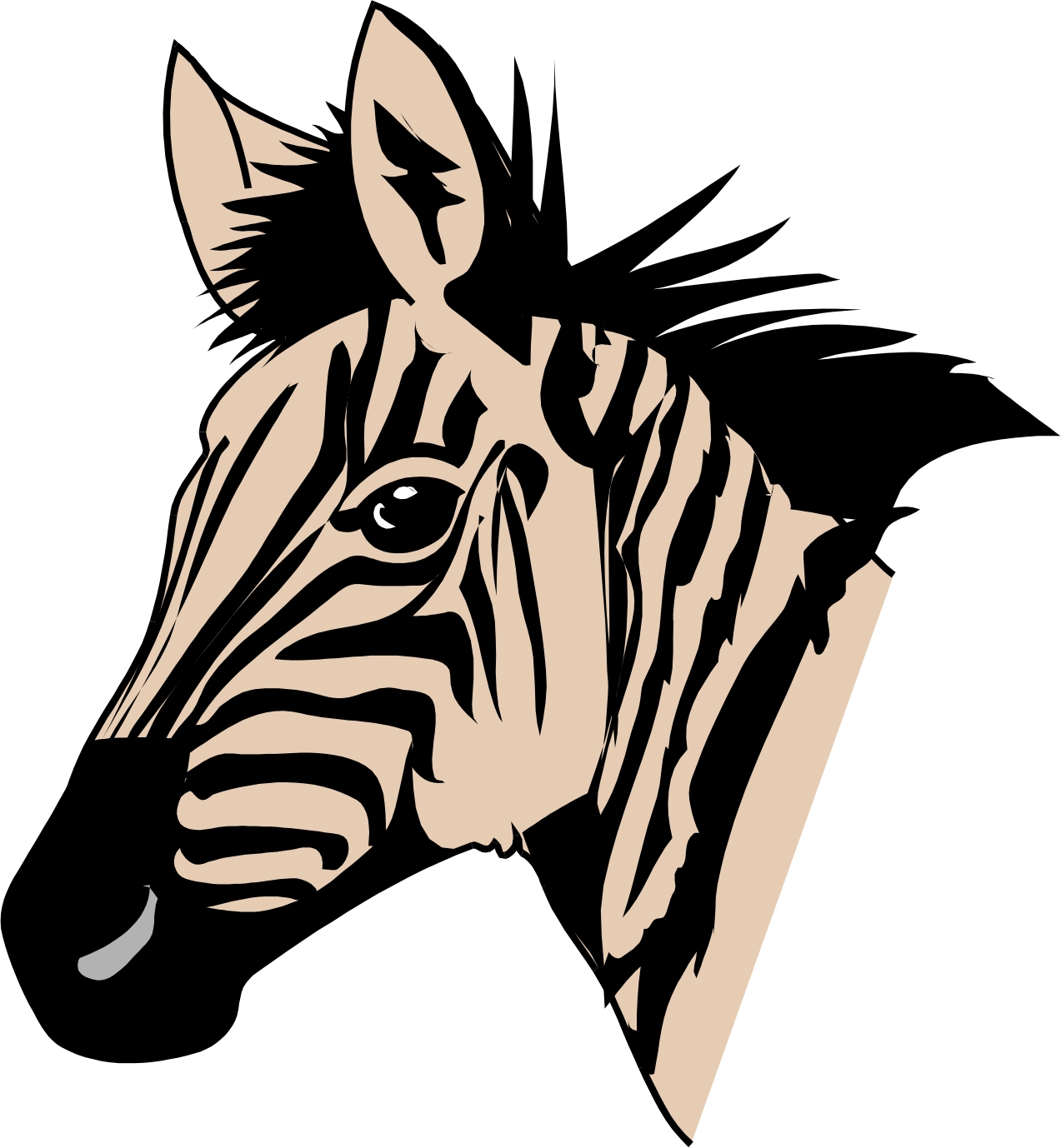 Cartoon Zebra