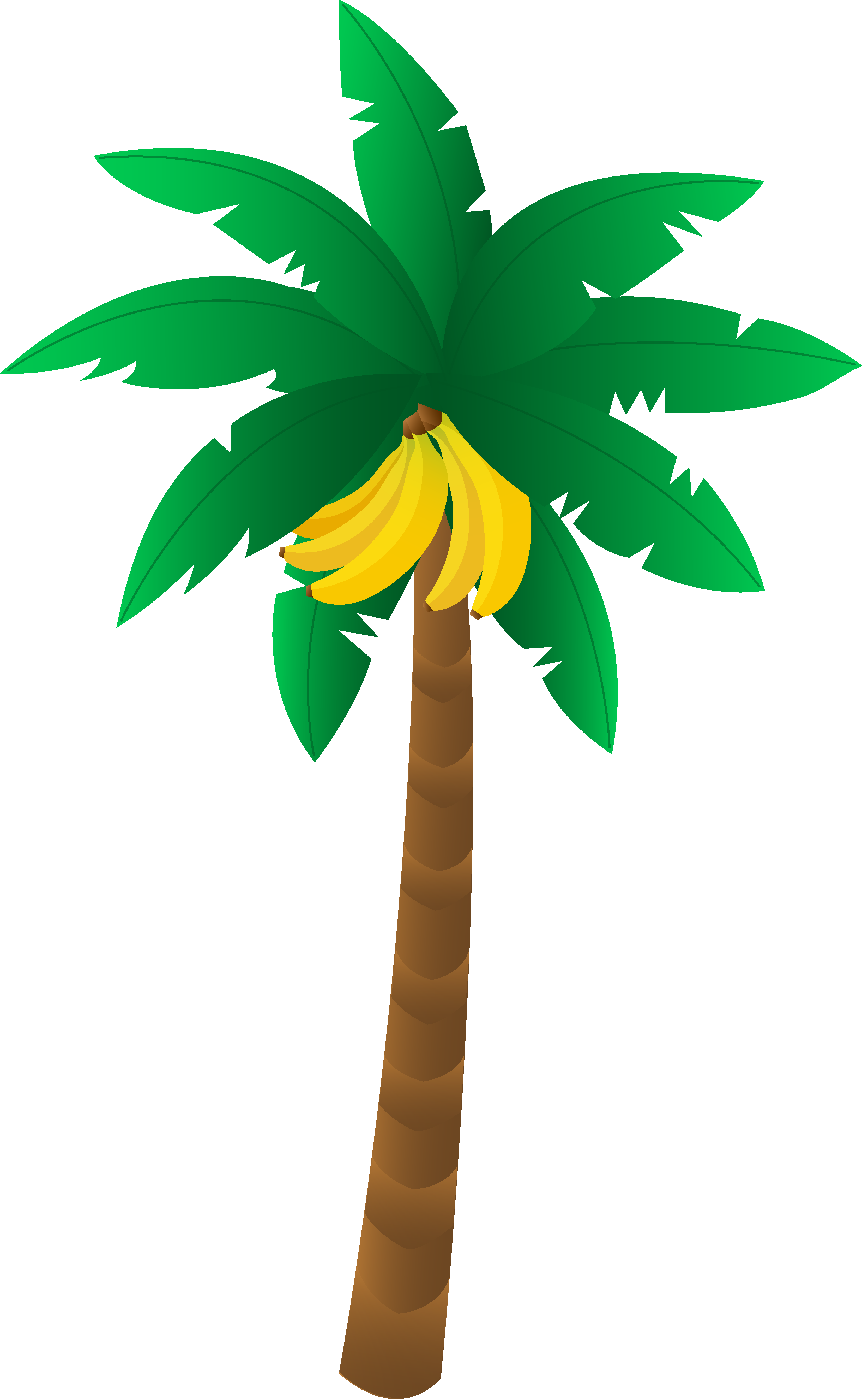 Banana plant clipart