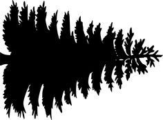 Pine Tree Outline Clipart - Free Clipart Images
